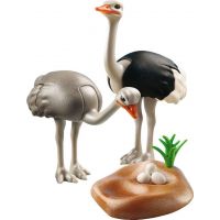 Playmobil 6646 Pštrosi s hnízdem 3