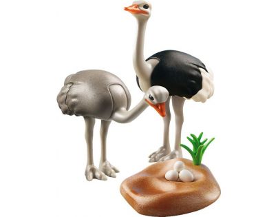 Playmobil 6646 Pštrosi s hnízdem