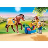 PLAYMOBIL® 70523 Zberateľský poník Welshský pony 4