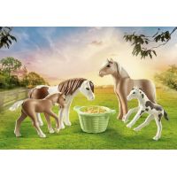 PLAYMOBIL® 71000 Dva Islandské pony s žriebätkami 2