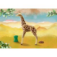 PLAYMOBIL® 71048 Žirafa 2