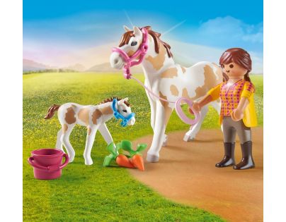 PLAYMOBIL® 71243 Kôň so žriebäťom