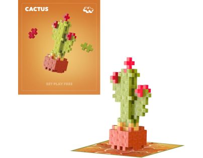 Plus-Plus Kvety Kaktus