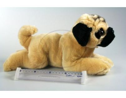 Plyšový pes mopsík 40 cm