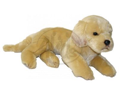 Plyšový pes retriever 38 cm ležící