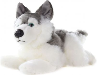 Plyš Husky 34 cm