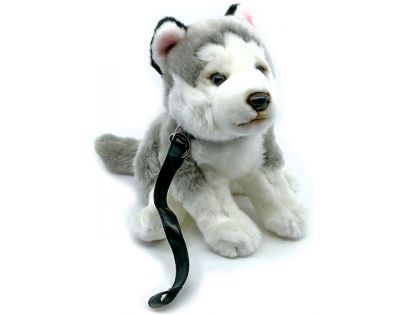 Plyš Husky s vodítkom 24 cm