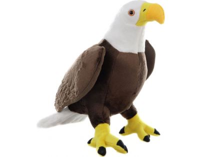 Plyš Orol bielohlavý veľký 36 cm