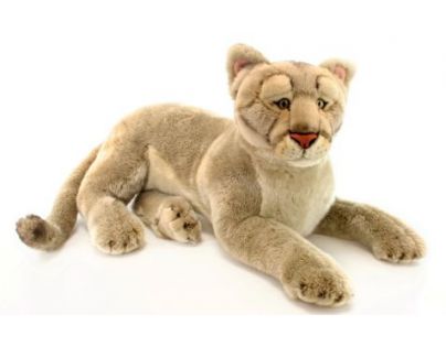 Puma velká