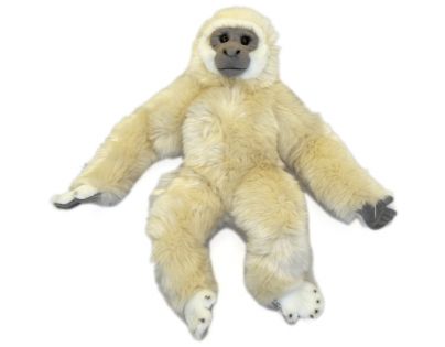 opice Gibbon 45 cm