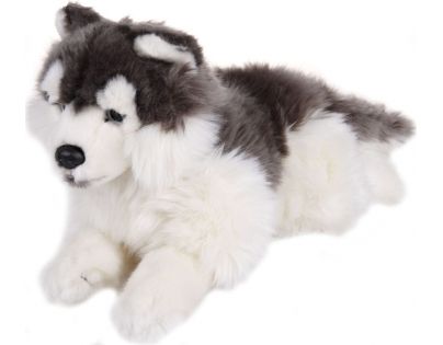 Plyšový Husky 35 cm