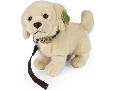Rappa Plyšový pes zlatý retriever staojaci s vodítkom 25 cm Eco Friendly