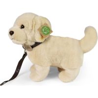 Rappa Plyšový pes zlatý retriever staojaci s vodítkom 25 cm Eco Friendly 3