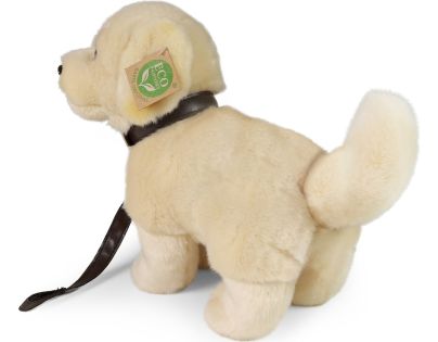 Rappa Plyšový pes zlatý retriever staojaci s vodítkom 25 cm Eco Friendly