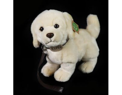 Rappa Plyšový pes zlatý retriever staojaci s vodítkom 25 cm Eco Friendly
