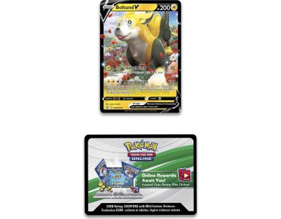 Pokémon TCG: Boltund V Box Showcase
