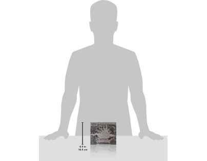 Pokémon TCG: ME05 Pitch Black - Elite Trainer Box - Case