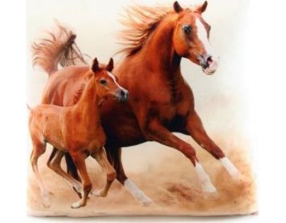 Vankúšik kone 33 x 33 cm