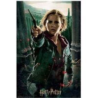 Prime 3D Puzzle Harry Potter Hermione Granger 300 dielikov