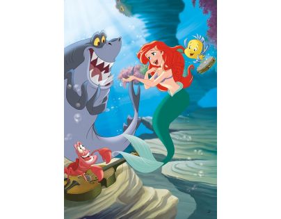 Egmont Princezna Ariel CZ verzia