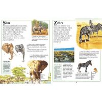 Svojtka První encyklopedie Zvířata CZ verzia 2
