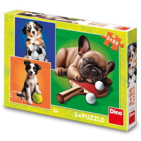 Dino Psí Športovci 3x55 Puzzle