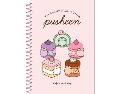 Pusheen set - krúžkový blok a samolepky DPL10