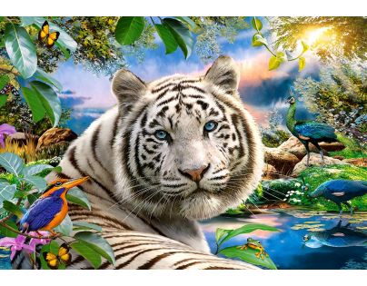 Castorland Puzzle Tiger biely 1500 dielikov