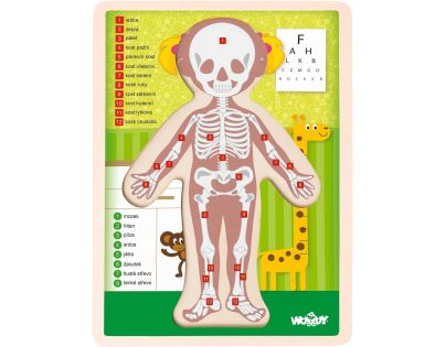 Woody Puzzle Ľudské telo Dievča 13 dielikov CZ verzia