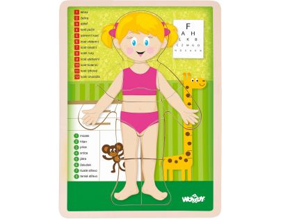 Woody Puzzle Ľudské telo Dievča 13 dielikov CZ verzia