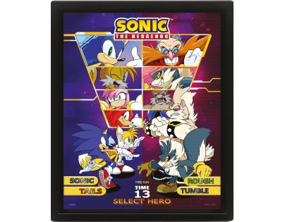 Pyramid International Sonic 3D obraz Select your Fighter