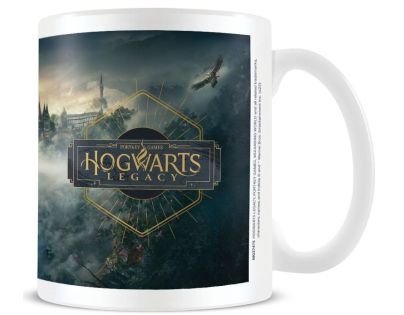 Pyramid International Hrnček Hogwarts Legacy 315 ml