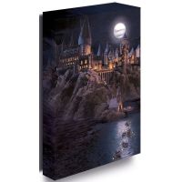 Pyramid International Obraz LED svietiaci 30x40 cm, Harry Potter - Bradavice hrad