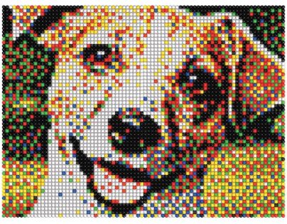 Quercetti Pixel Photo 16