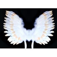 Rappa Krídla anjelská s perím bielozlatá 3