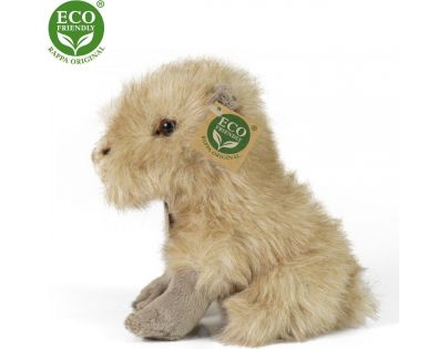 Rappa Plyšová kapybara 18 cm Eco Friendly