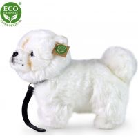 Rappa Plyšový psík Čau-čau 30 cm Eco Friendly 3