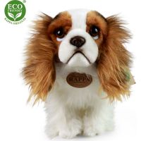 Rappa Plyšový pes King Charles Španiel 25 cm Eco Friendly 3