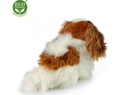 Rappa Plyšový pes King Charles Španiel 25 cm Eco Friendly