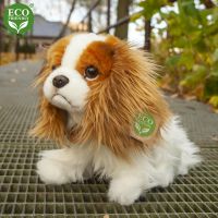 Rappa Plyšový pes King Charles Španiel 25 cm Eco Friendly 5