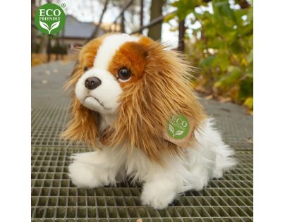 Rappa Plyšový pes King Charles Španiel 25 cm Eco Friendly