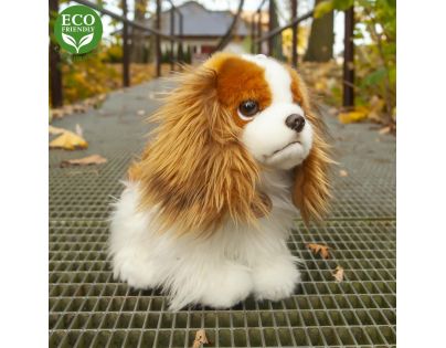 Rappa Plyšový pes King Charles Španiel 25 cm Eco Friendly