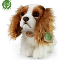 Rappa Plyšový pes King Charles Španiel 25 cm Eco Friendly