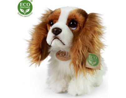 Rappa Plyšový pes King Charles Španiel 25 cm Eco Friendly
