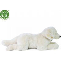 Rappa Plyšový pes Retriever ležiaci 60 cm Eco Friendly 3