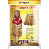 Rappa Detský kostým Sukňa Hawaii farebná 104 - 150 cm 3
