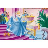 Ravensburger 07477 - Kostky Princezny 12ks 4