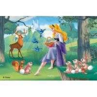 Ravensburger 07477 - Kostky Princezny 12ks 5