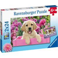 Ravensburger Puzzle Čarovná šteňatá 2 x 24 dielikov 4