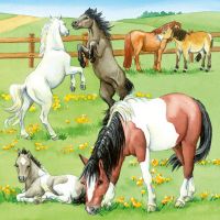 Ravensburger Puzzle Kone 3 x 49 dielikov 3